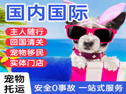 德宏航空快递国际宠物托运 【国